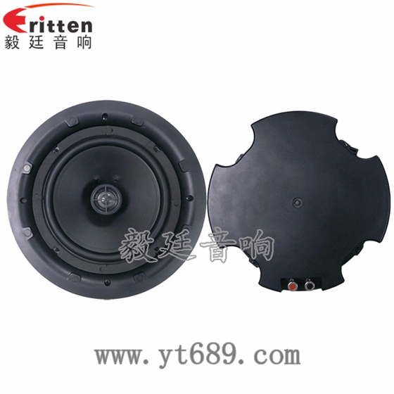 8''250w 重低音喇叭正反面