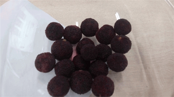 毅廷喇叭廠勇敢邁出第一步就是我們最大勝得 &mdash;牛商爭(zhēng)霸死黨互動(dòng)學(xué)習(xí)共成長(zhǎng)