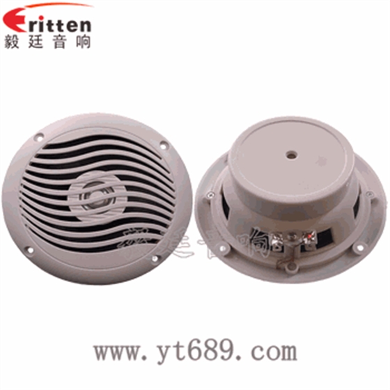 &ldquo;納尼&rdquo;毅廷完美喇叭功放！！