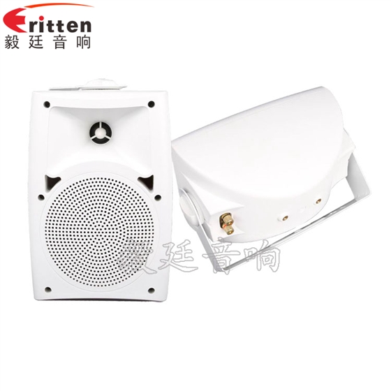 4寸掛壁音箱正反面 8''中低音舞臺音箱喇叭廠家正反面