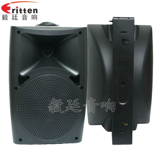 8''中低音舞臺(tái)音箱喇叭廠家正反面
