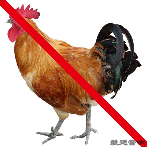 汽車(chē)音箱喇叭