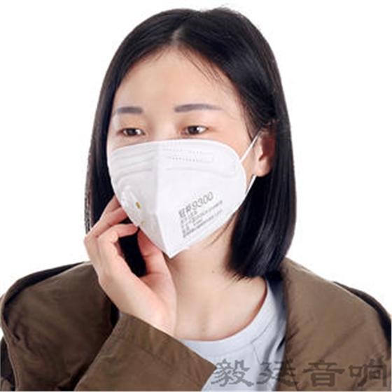 汽車(chē)音箱喇叭