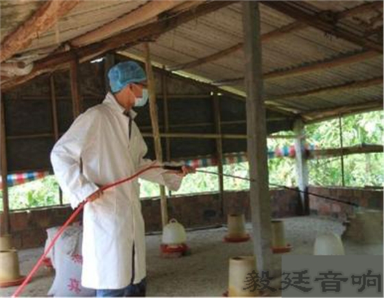 汽車(chē)音箱喇叭