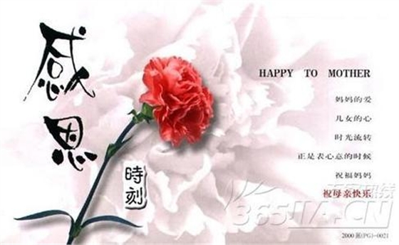 藍(lán)牙音箱喇叭 藍(lán)牙音箱喇叭