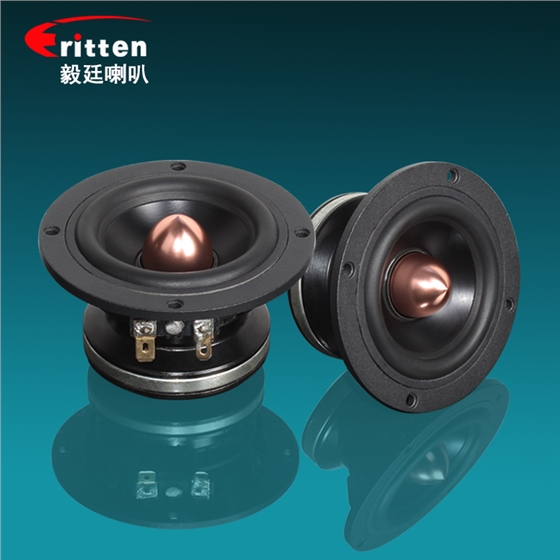 揚(yáng)聲器供應(yīng)商 揚(yáng)聲器供應(yīng)商