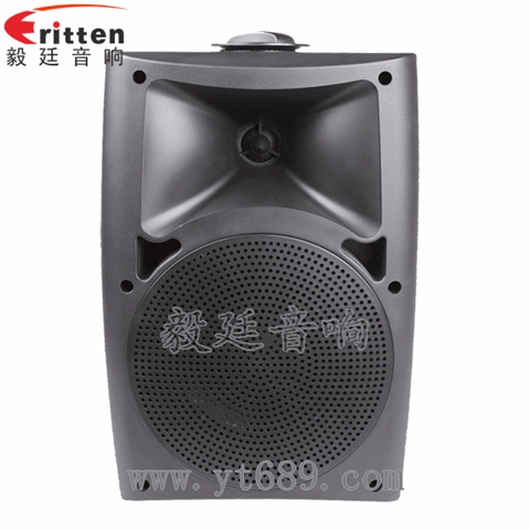 5.25寸2路壁掛音箱