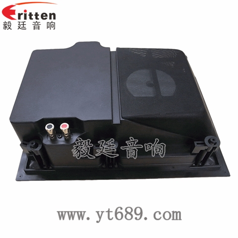 5.25寸墻壁喇叭廠家