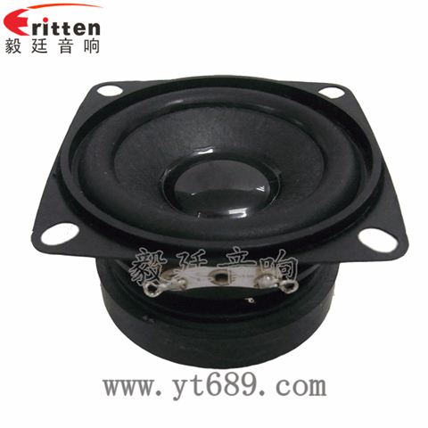 53*53mm5W全頻喇叭