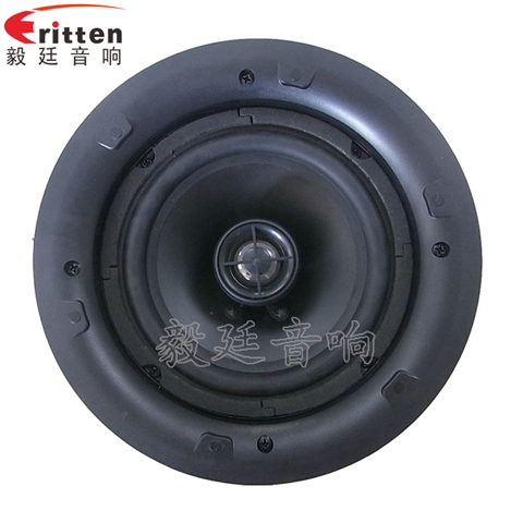 5.25寸天花吸頂式喇叭
