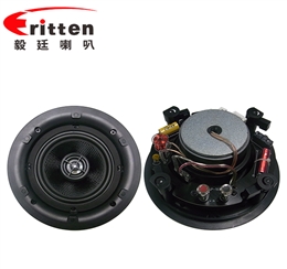 5.25寸天花揚(yáng)聲