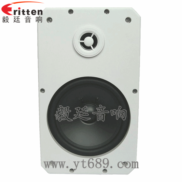 8''中低音舞臺音箱喇叭廠家正面圖