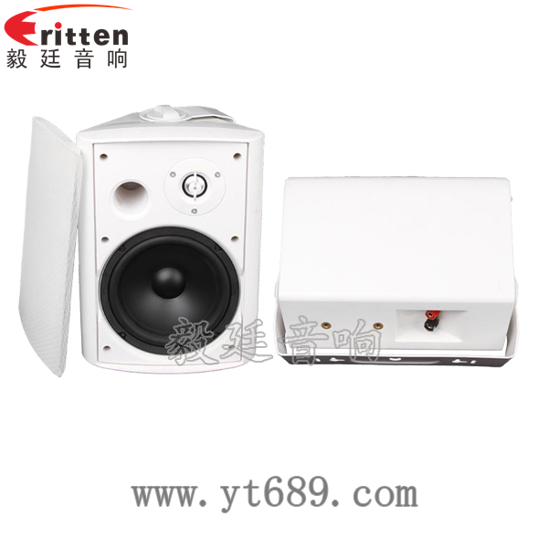 6.5寸2路墻壁音箱正反面 6.5寸2路墻壁音箱正反面
