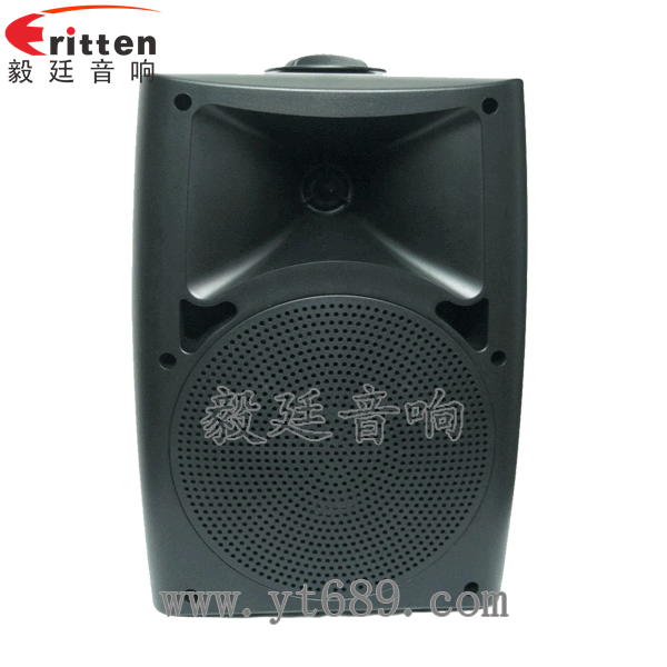 8''中低音舞臺音箱喇叭廠家正面圖
