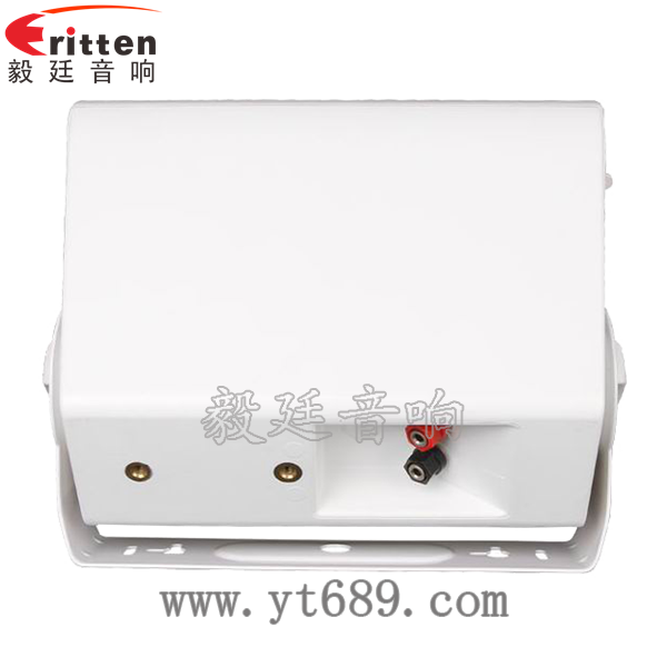 5.25寸2路全頻音箱反面圖