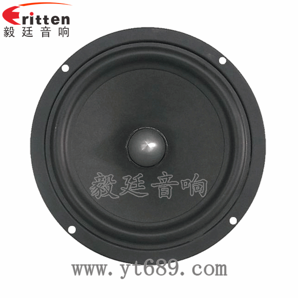 8''中低音舞臺(tái)音箱喇叭廠家正面圖