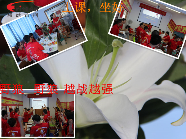 毅廷喇叭廠參與跟著野狼越戰(zhàn)越強(qiáng),金光閃閃的錢阿~錢