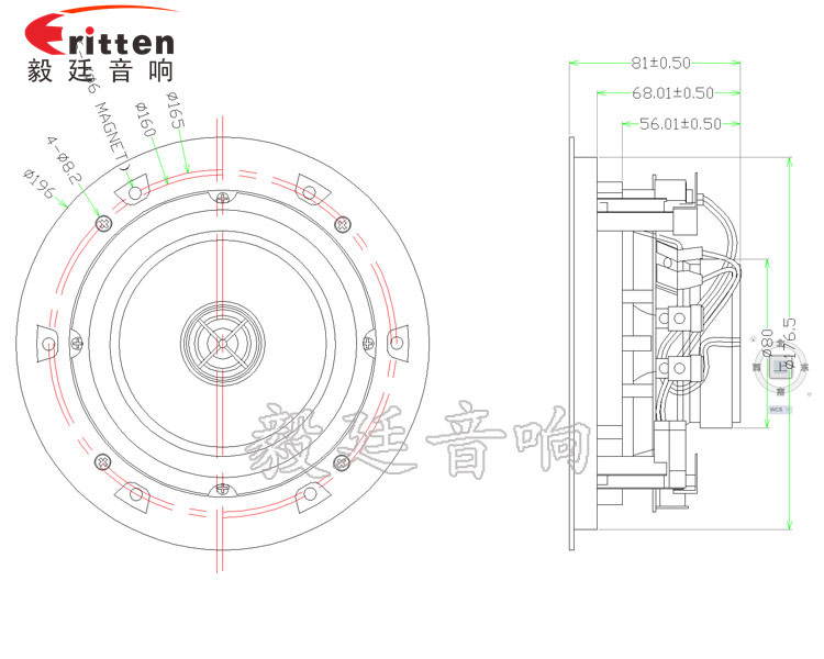 5.25寸天花揚聲器成品圖