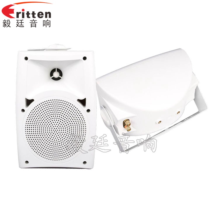 8''中低音舞臺(tái)音箱喇叭廠家正反面