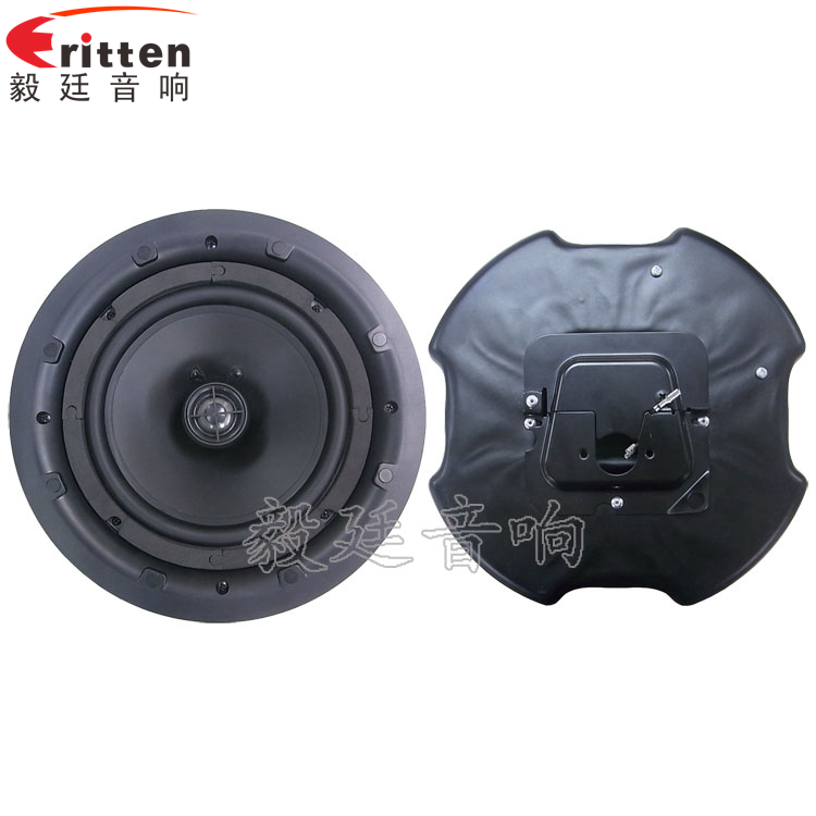 8''250w 重低音喇叭正反面