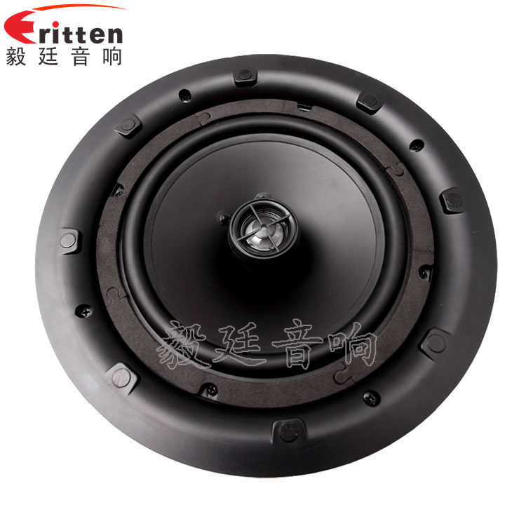 8''250w 重低音喇叭正面圖