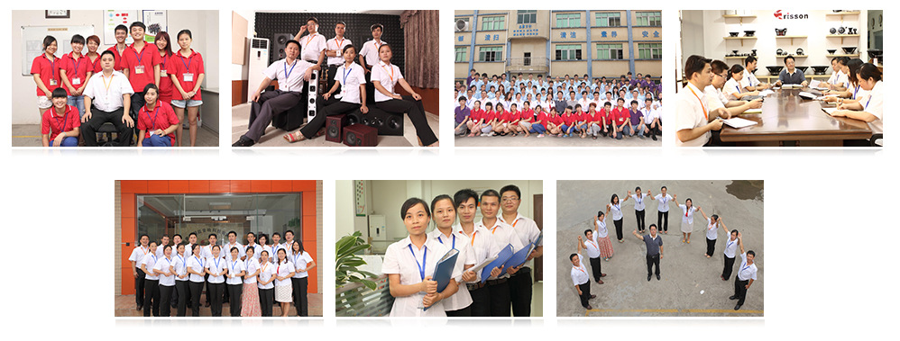 汽車(chē)音響喇叭廠(chǎng)團(tuán)隊(duì)