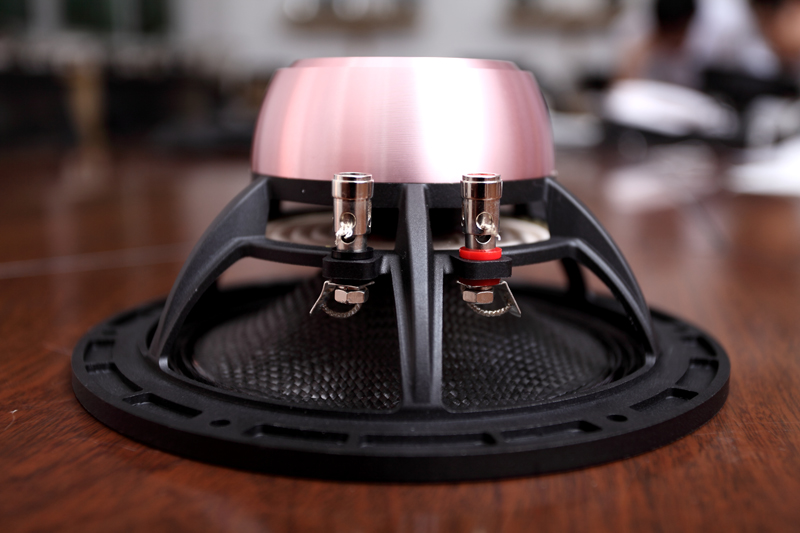 喇叭廠家產(chǎn)品圖1