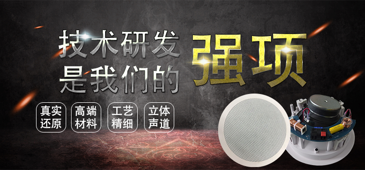 6.5寸(238mm)8歐30w斜面板天花喇叭 6.5寸(238mm)8歐30w斜面板天花喇叭