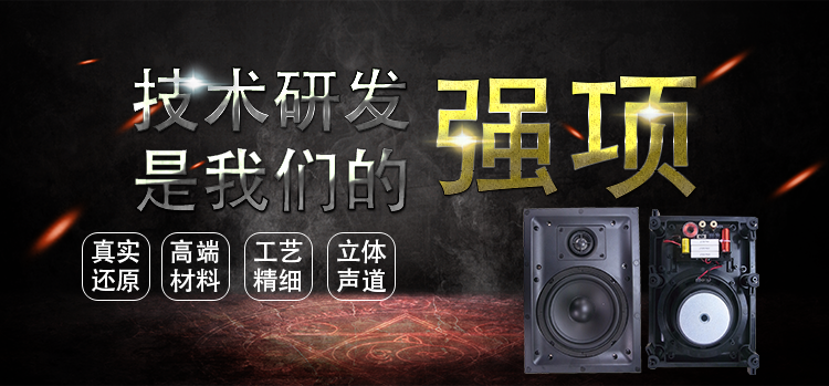 6.5寸(210*298mm)PP盆/橡膠邊25.5mm芯全頻天花音箱喇叭 6.5寸(210*298mm)PP盆/橡膠邊25.5mm芯全頻天花音箱喇叭