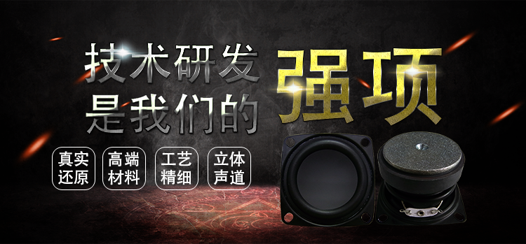 53mm7w16芯藍(lán)牙音箱喇叭