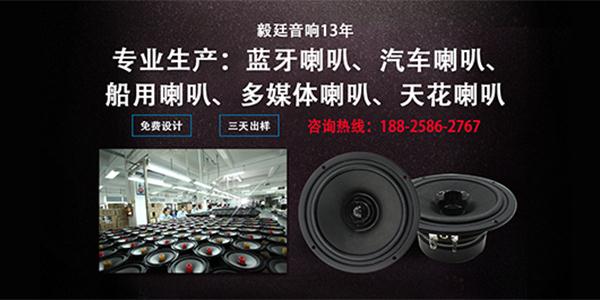 揚(yáng)聲器廠家 揚(yáng)聲器廠家